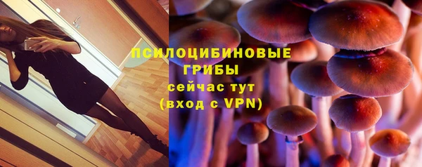 Альфа ПВП Волоколамск