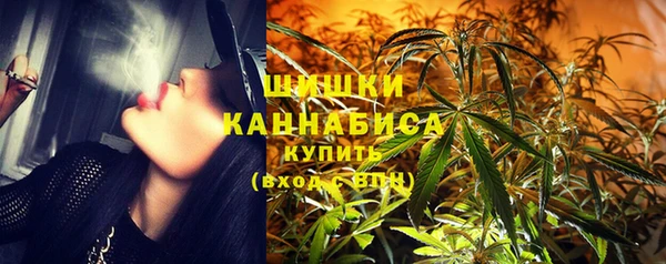 мдпв Володарск