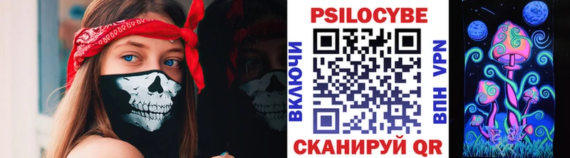 Псилоцибиновые грибы Psilocybe Галич